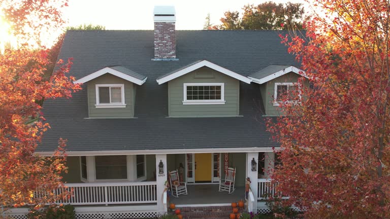 Best Chimney Flashing Repair  in Bonifay, FL