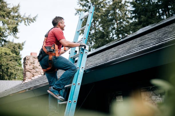 Best Asphalt Shingles Roofing  in Bonifay, FL